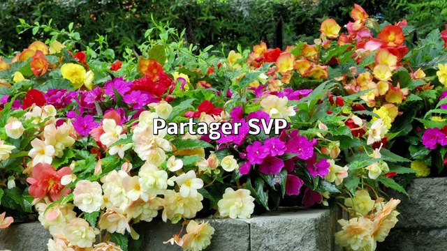 Que nous cachent les musulmans dans le Coran? sourate 112 le monothéisme pur al iklas .