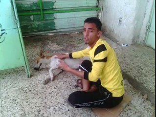 SO SUNNY SCENE, A ARABIC BOY MAE JOKE WITH DOG