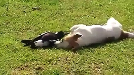 Yeh Dosti Badi Haseen hai