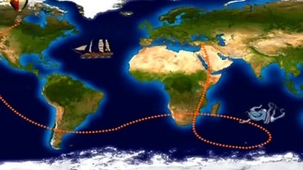 Harika Balon 5 TRT Çocuk