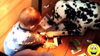 Funny videos 2015 - Babies Laughing at Dogs