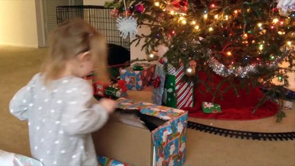 Dogs Meeting Babies For The First Time