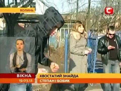 Пес 5 лет ждал хозяина на остановке и дождался