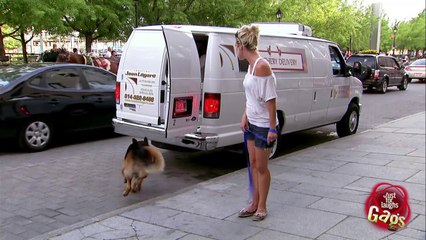 FUNNY SEXY HD - Just For Laughs Dog Escape Prank