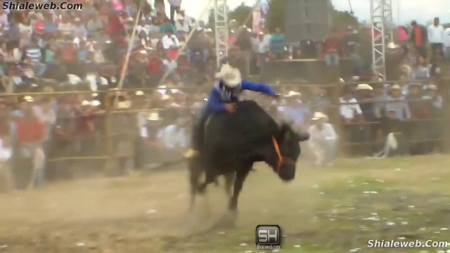 Jaripeo En El Ciruelo Oaxaca Y San Miguel Nocutzepo Michoacan Mexico Montas Espectaculares Toros Salvajes Y Valientes Jinetes Octubre 2015
