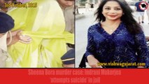 Indrani Mukerjea ‘attempts suicide’ in jail - Vishwa Gujarat - 3rd October 2015