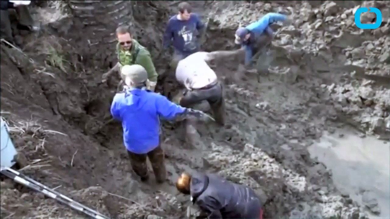 Wooly Mammoth Skeleton discovered by a farmer in a Michigan soybean field