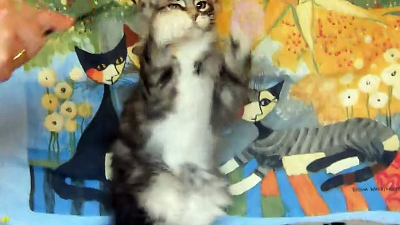 13-9-15 Léogan vidéo