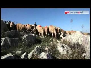 TGSRVott02 abusivismo edilizio parco alta murgia