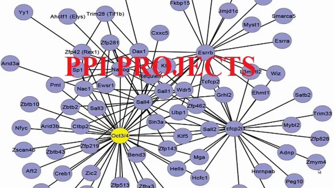 PPI Project output - Protein to Protein Interaction Projects