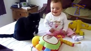 Funny cats and babies playing together -2015