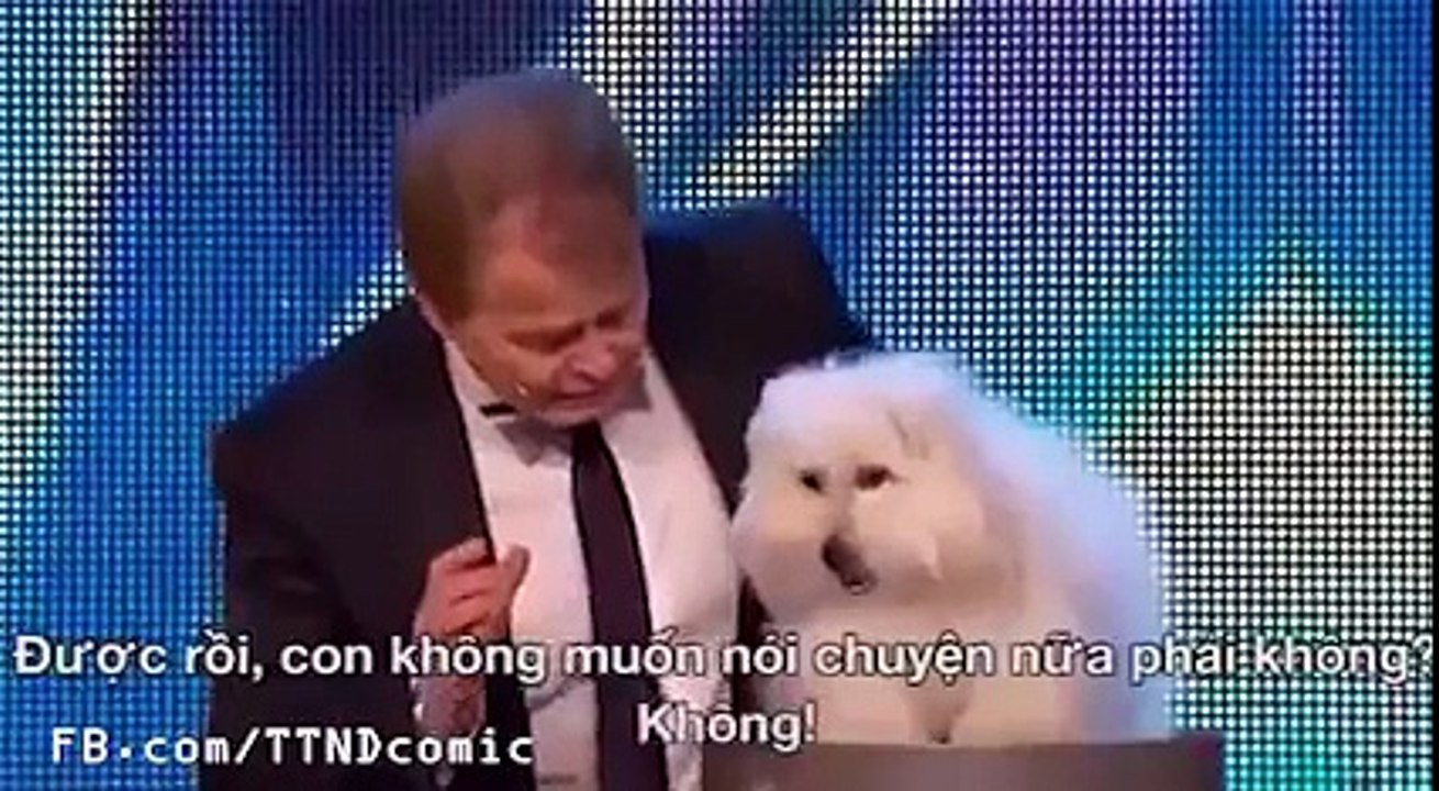 wow amazing dog is talking
