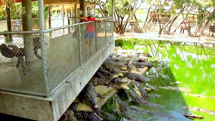 Jokes fishing Jokes on fishing