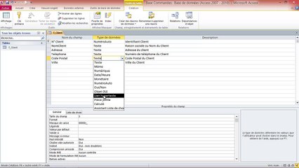 Access - Concevoir un Gestionnaire de Données (Module 2)