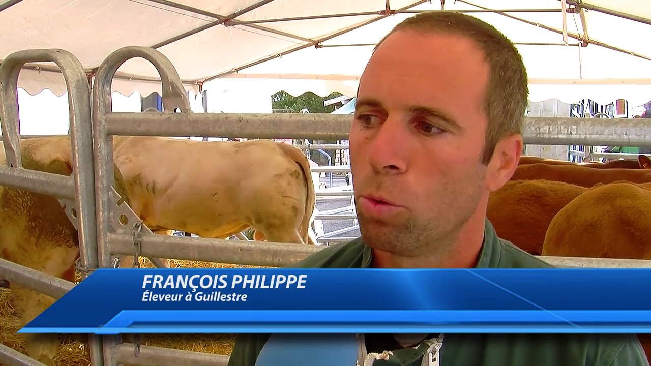 D!CI TV : Des bovins reproducteurs made in Hautes-Alpes à Chorges ce samedi