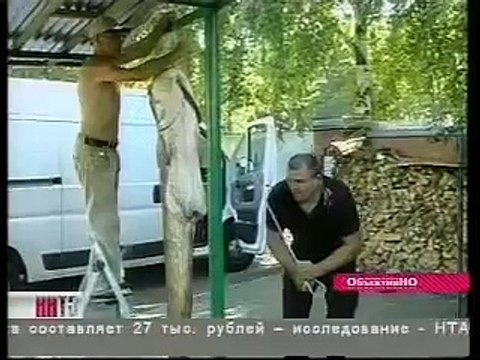 Самая большая рыба пойманная в реке Оке!