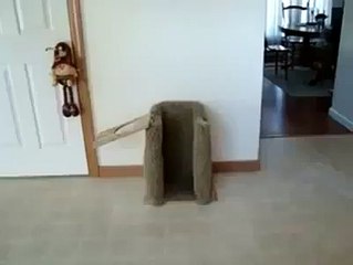 hond met manieren ...........