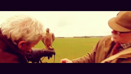 «La mattina seguente Richie si svegliò all'alba: aveva deciso che gli uccelli non andavano tenuti in gabbia.»