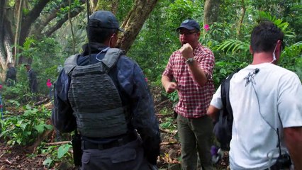 Dinosaurs Roam Once Again