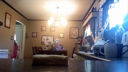 11 Things To Do With Peanut Butter and Jelly Day