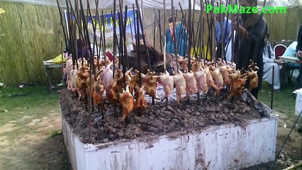 PAKISTANI FUNNY CLIPS CHICKS SAJJI VIDEOS