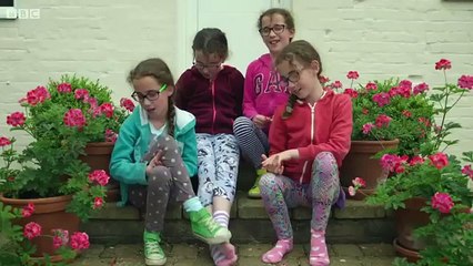 Countdown to Life  The Extraordinary Making of You   1  The First 8 Weeks