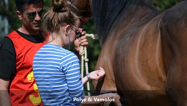 2nd Endurance Championship Ride 2015 Rancho Kilkis Endurance Team Day 1