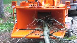 The tree cutter world's fastest
