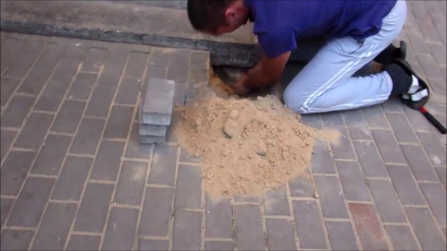 Un homme sauve une chienne enterrée vivante