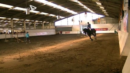 Amaretto et Benjamin Le Comte