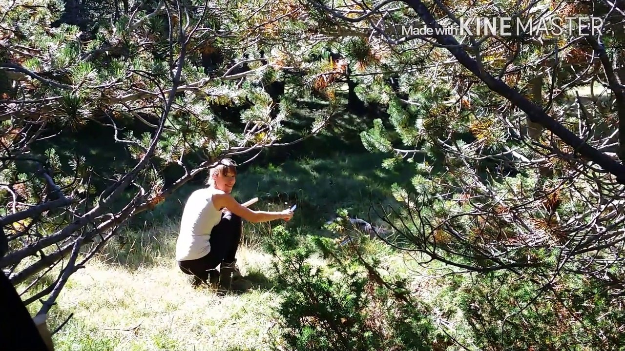 présentation kit bouffe roots + kit amusement!