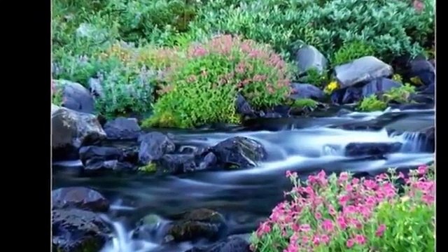 Elif Özer Ah bu gönül şarkıları