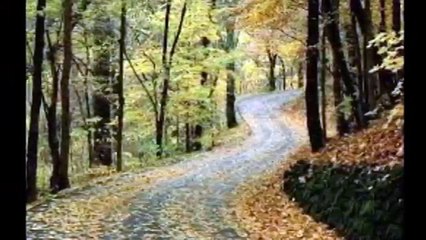 Müzeyyen Senar   Yalnız Bırakıp Gitme