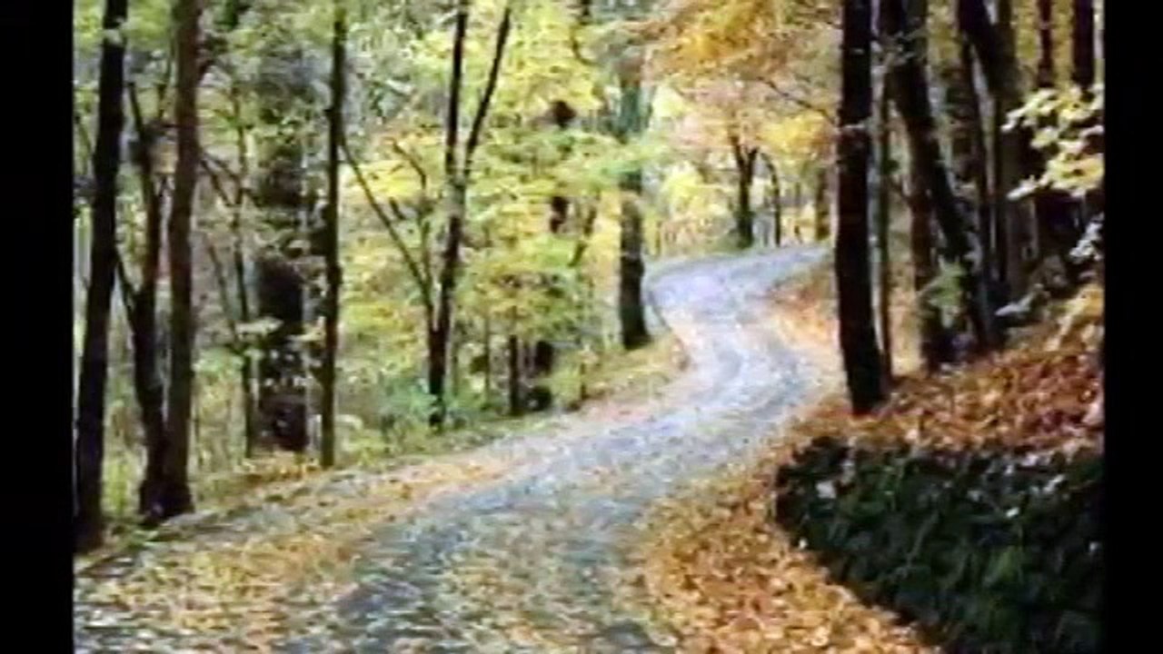 Müzeyyen Senar   Yalnız Bırakıp Gitme