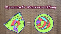 2015-10-02 Dynamische Netzentwicklung