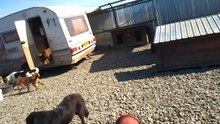 Ville shelter