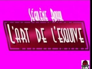 A vous de juger Royal et le SMIC