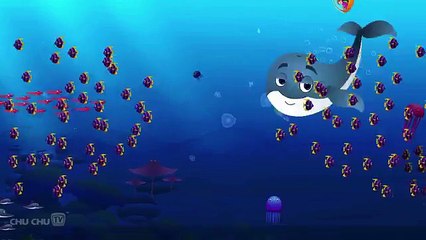 Blue Whale - Nursery Rhymes - Song For Kids - Nursery Poem - Animation Rhymes 2015