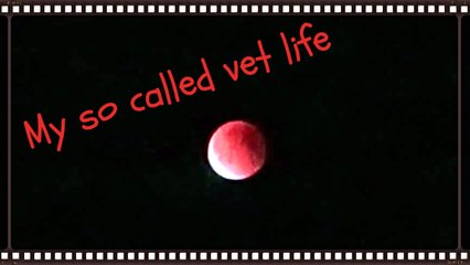 I see a blood moon rising, I see trouble on the way