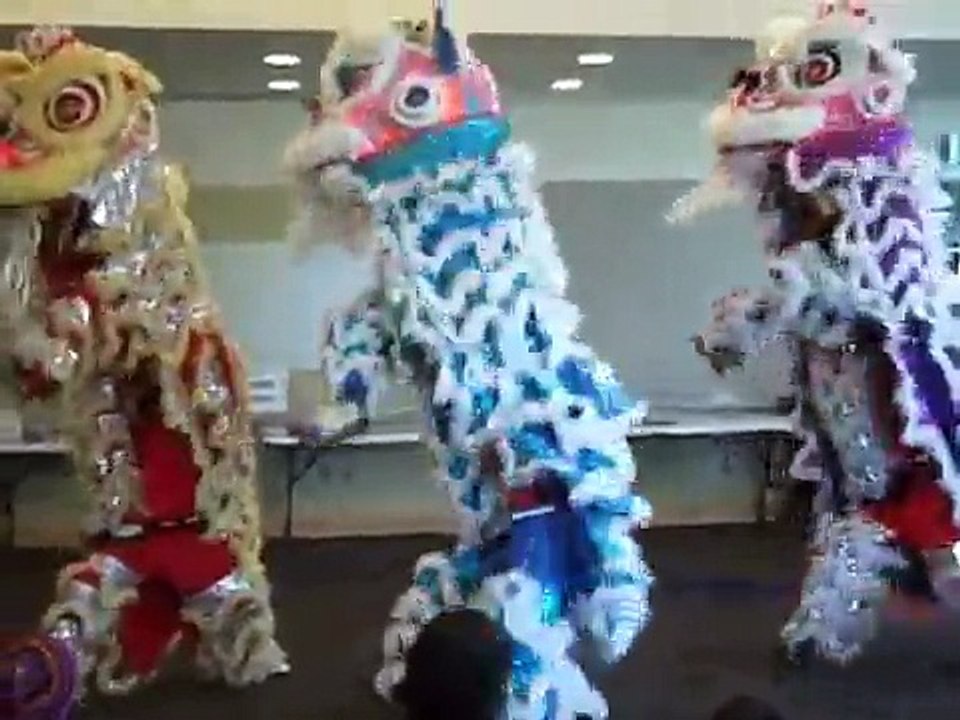 Lion Dance Stunts New Year