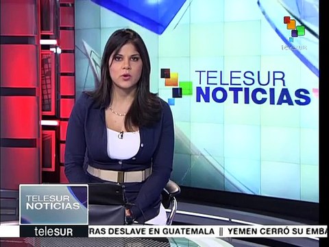 Indonesia: animales silvestres, en peligro por incendios forestales