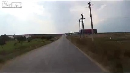 LiveLeak.com - Dog rescues dog