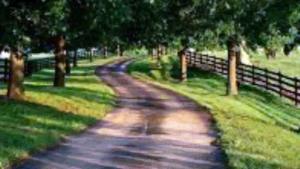 كوكب تانى مدحت صالح