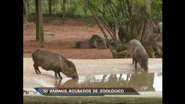 Polícia do RS investiga roubo de animais no zoológico de Sapucaia do Sul