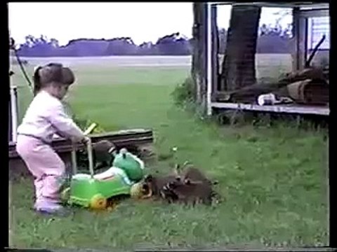 Еноты против ребенка funny kids [видео прикол мега приколы ржака жесть]