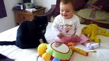 Funny cats and babies playing together - Cute cat & baby com