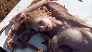 A Real Life Mermaid (Jalpari) Found in Mexico - Shocking & Amazing Video - SubhanALLAH