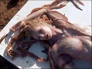 A Real Life Mermaid (Jalpari) Found in Mexico - Shocking & Amazing Video - SubhanALLAH