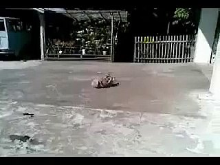 Это что-то ужасное