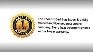 Surprise AZ Bed Bug Exterminator - 623-552-4815 _ Bed Bug Treatment